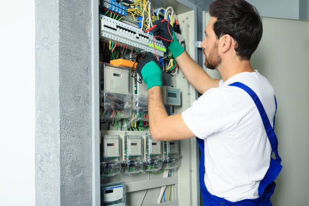 Best Electrical System Inspection  in Triana, AL